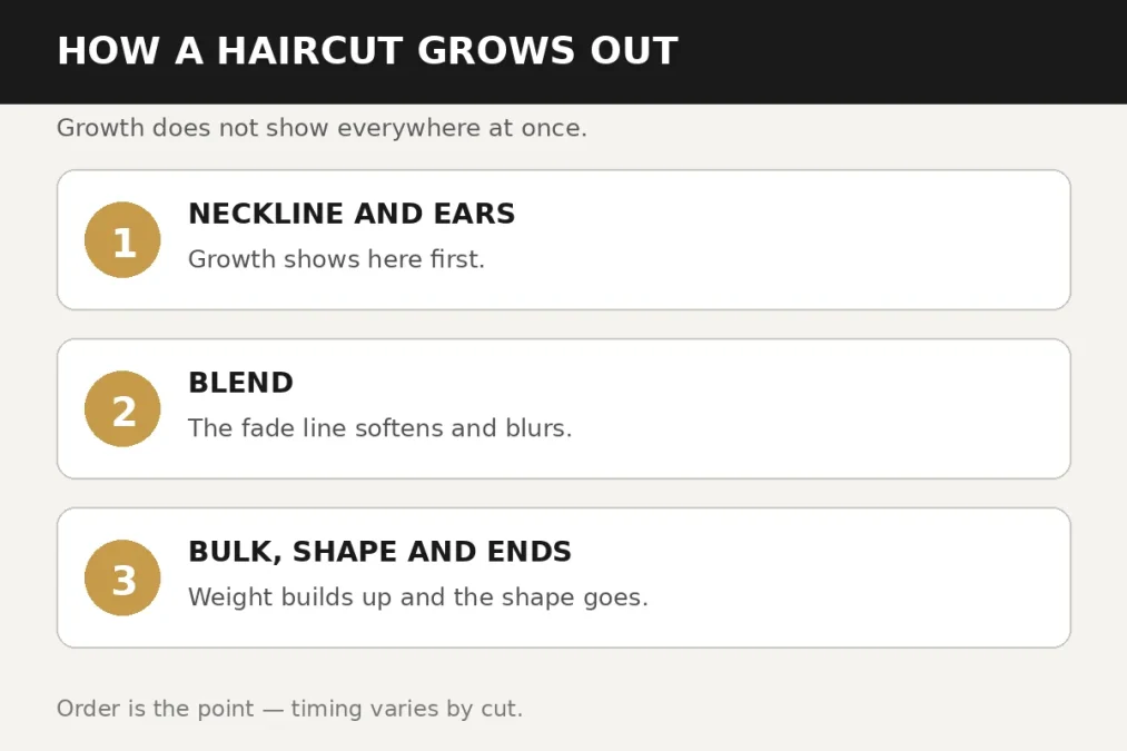 Haircut grow-out phases: neckline and ears first, then blend, then bulk shape and ends.